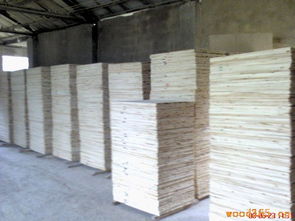 杉木拼板,柜子板,杉木工藝品專用板,家具用各種板材 金林木業