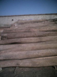 榆木梁高清圖片賞析及全木業有限責任公司介紹